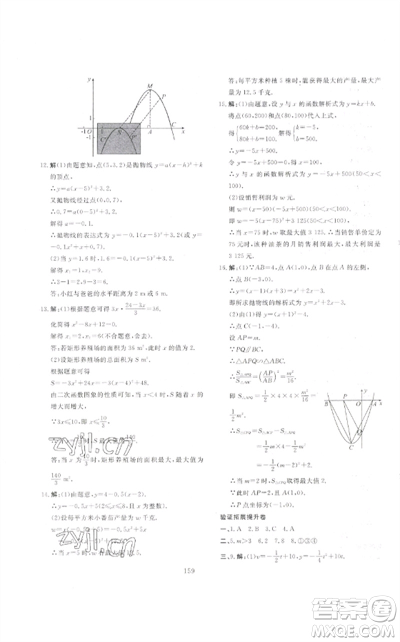 新疆文化出版社2023中考先鋒初中總復(fù)習(xí)全程培優(yōu)訓(xùn)練第一方案九年級數(shù)學(xué)通用版參考答案