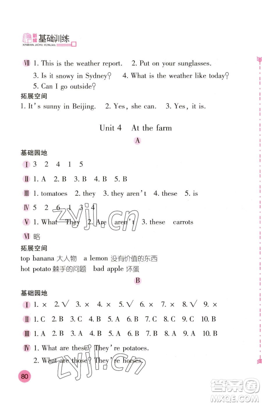 安徽少年兒童出版社2023新編基礎(chǔ)訓(xùn)練四年級下冊英語人教版參考答案