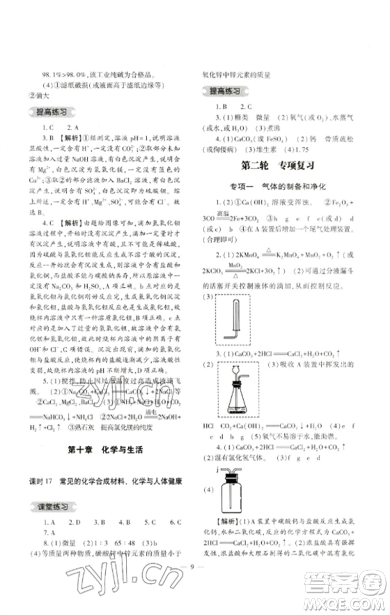 大象出版社2023中考復(fù)習(xí)精講與測試九年級化學(xué)通用版參考答案