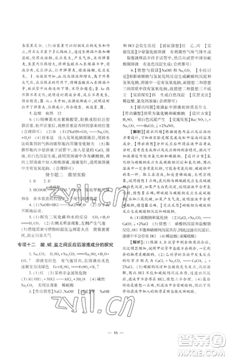 大象出版社2023中考復(fù)習(xí)精講與測試九年級化學(xué)通用版參考答案