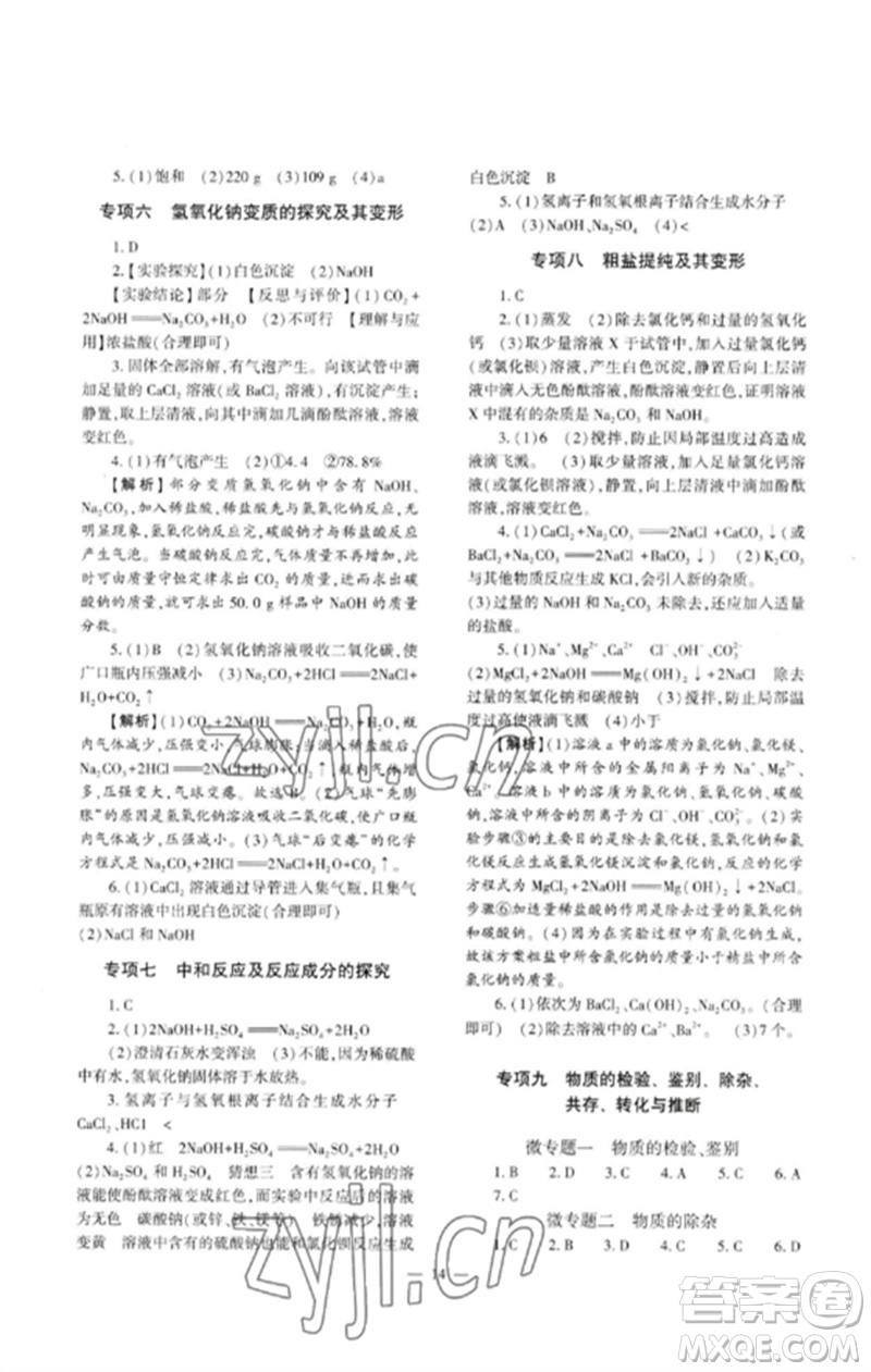 大象出版社2023中考復(fù)習(xí)精講與測試九年級化學(xué)通用版參考答案