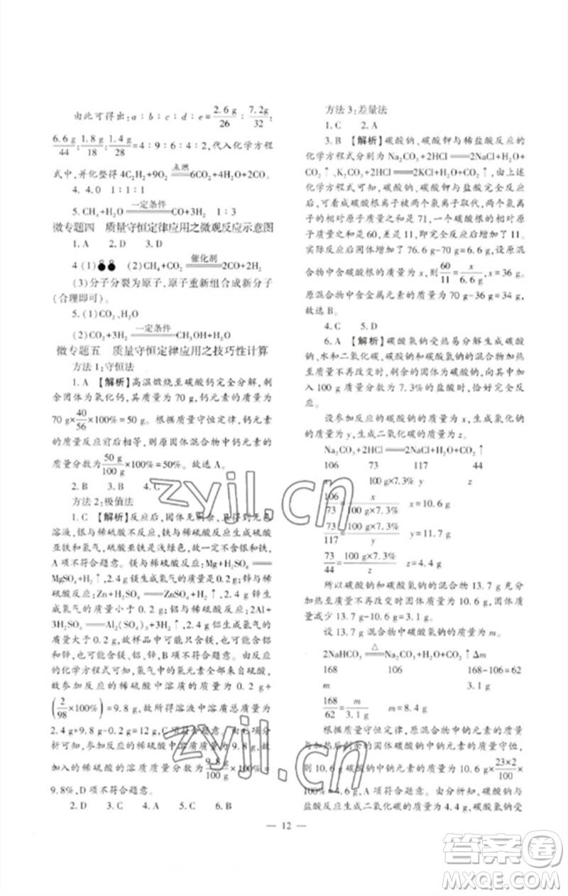 大象出版社2023中考復(fù)習(xí)精講與測試九年級化學(xué)通用版參考答案