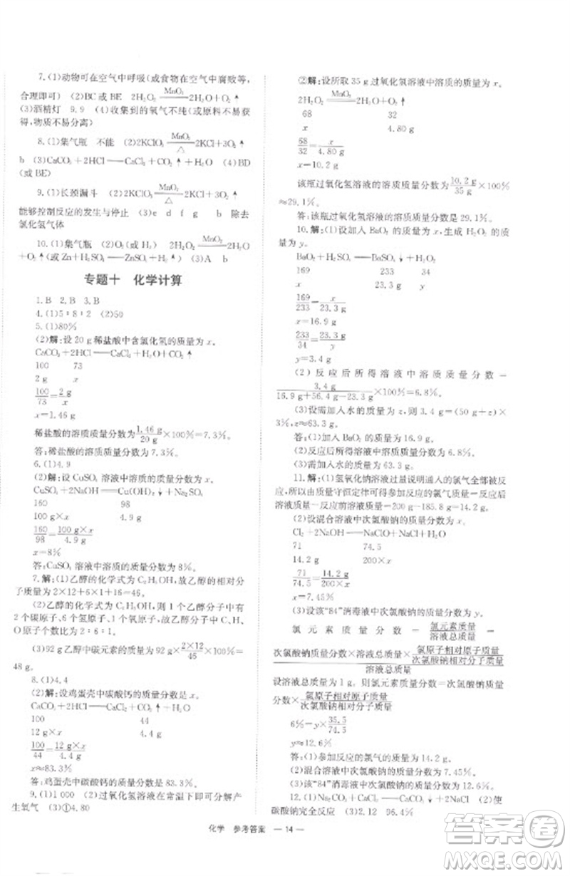 湖南師范大學出版社2023全程奪冠中考突破九年級化學通用版參考答案