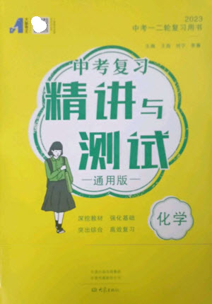 大象出版社2023中考復(fù)習(xí)精講與測試九年級化學(xué)通用版參考答案