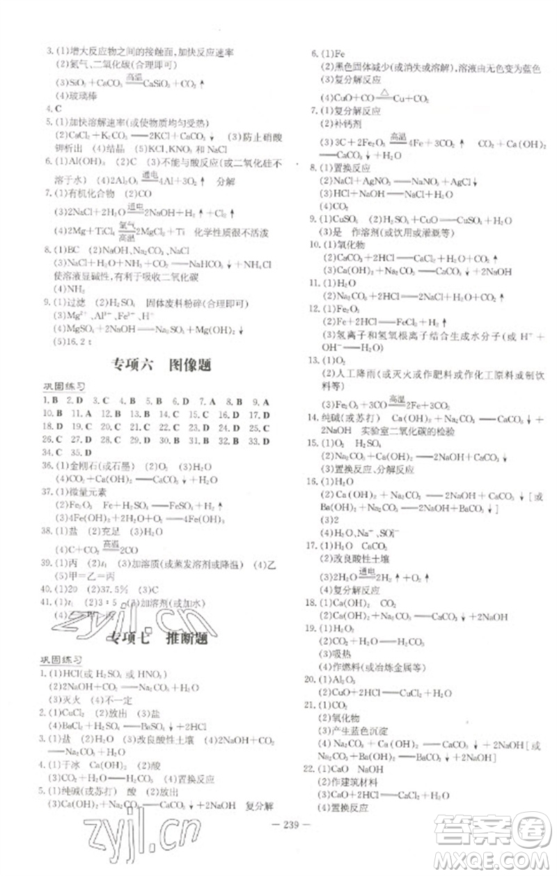 陜西人民教育出版社2023初中總復(fù)習(xí)導(dǎo)與練九年級化學(xué)通用版包頭專版參考答案