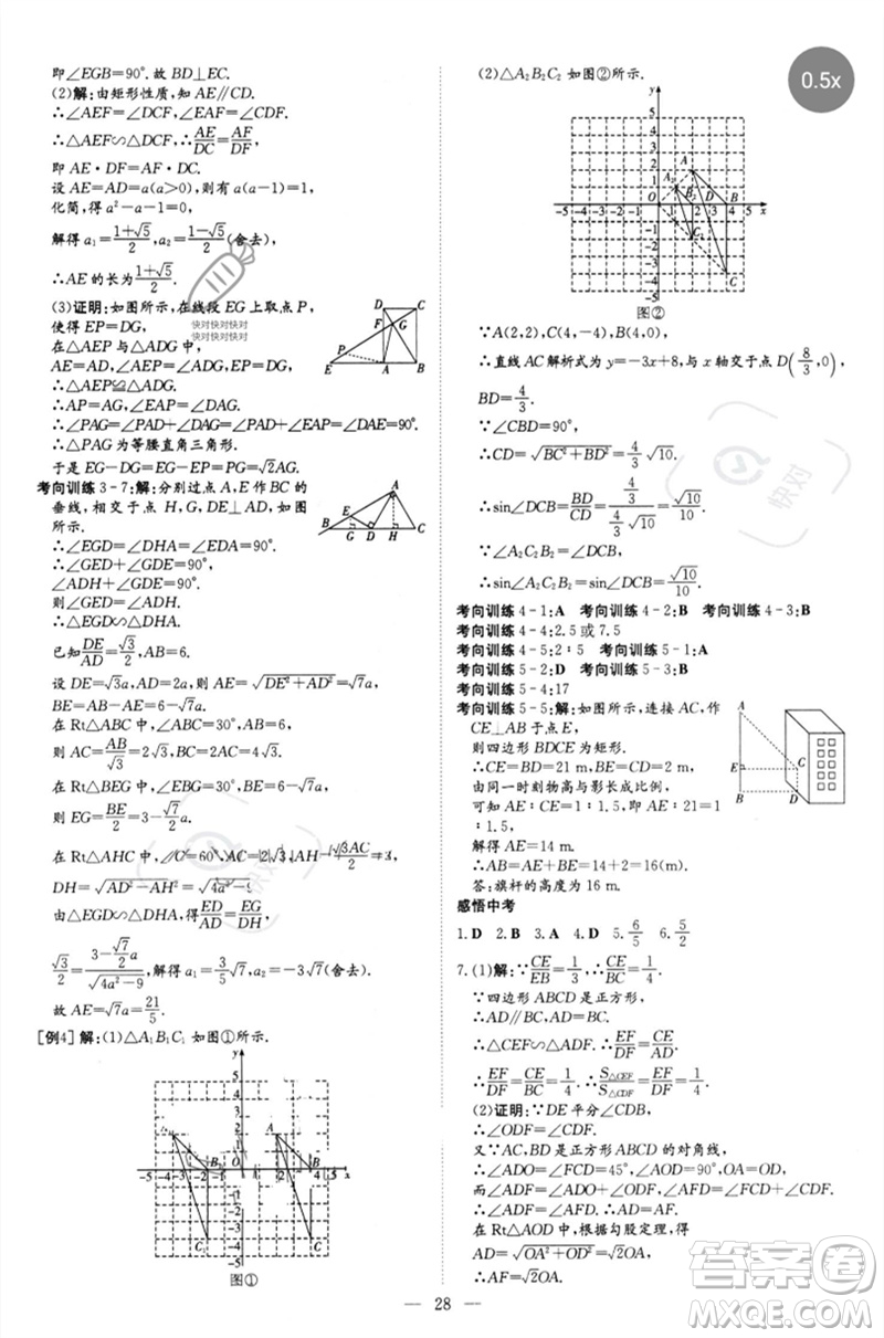 陜西人民教育出版社2023初中總復(fù)習(xí)導(dǎo)與練九年級數(shù)學(xué)精講冊通用版包頭專版參考答案