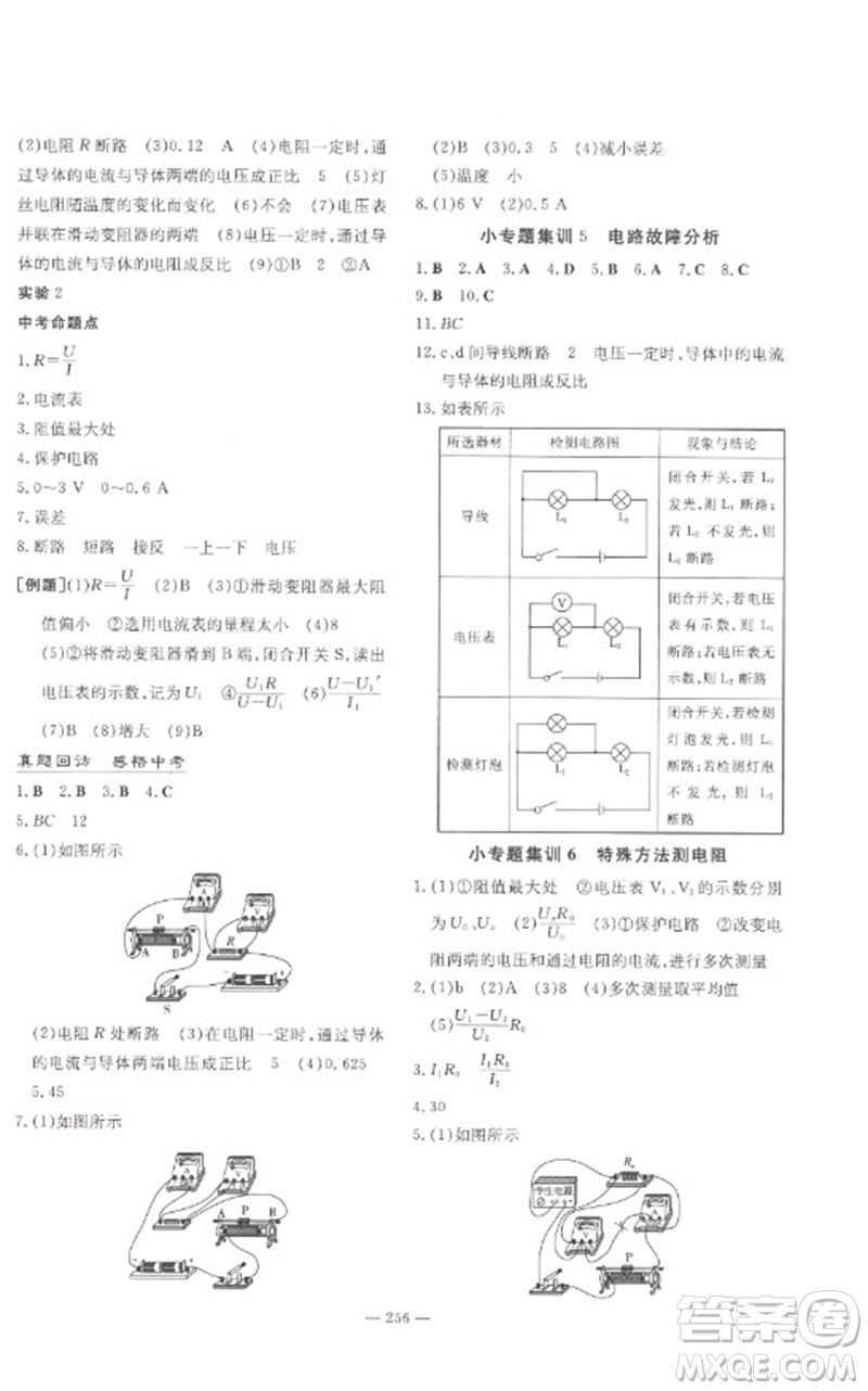 陜西人民教育出版社2023中考總復(fù)習(xí)導(dǎo)與練九年級物理精講冊人教版參考答案