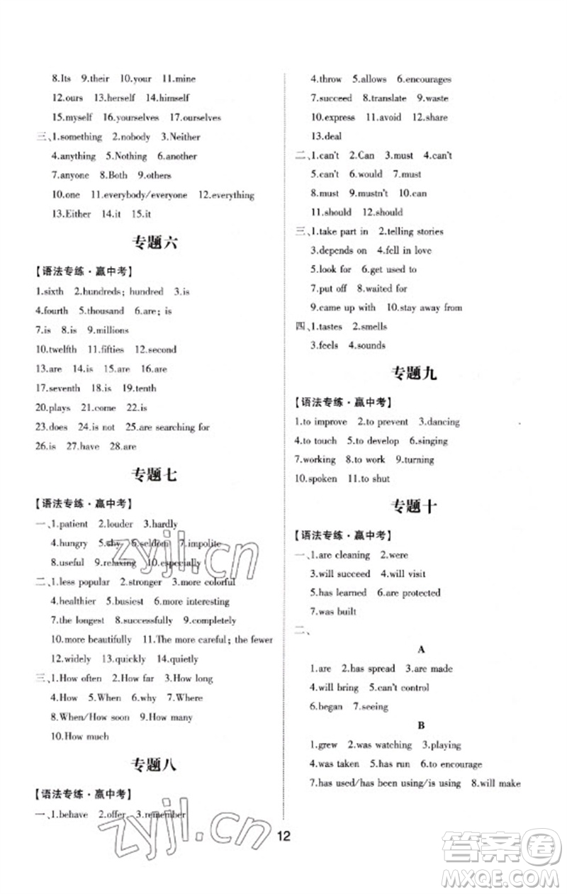 山東科學(xué)技術(shù)出版社2023初中總復(fù)習(xí)手冊九年級英語通用版參考答案