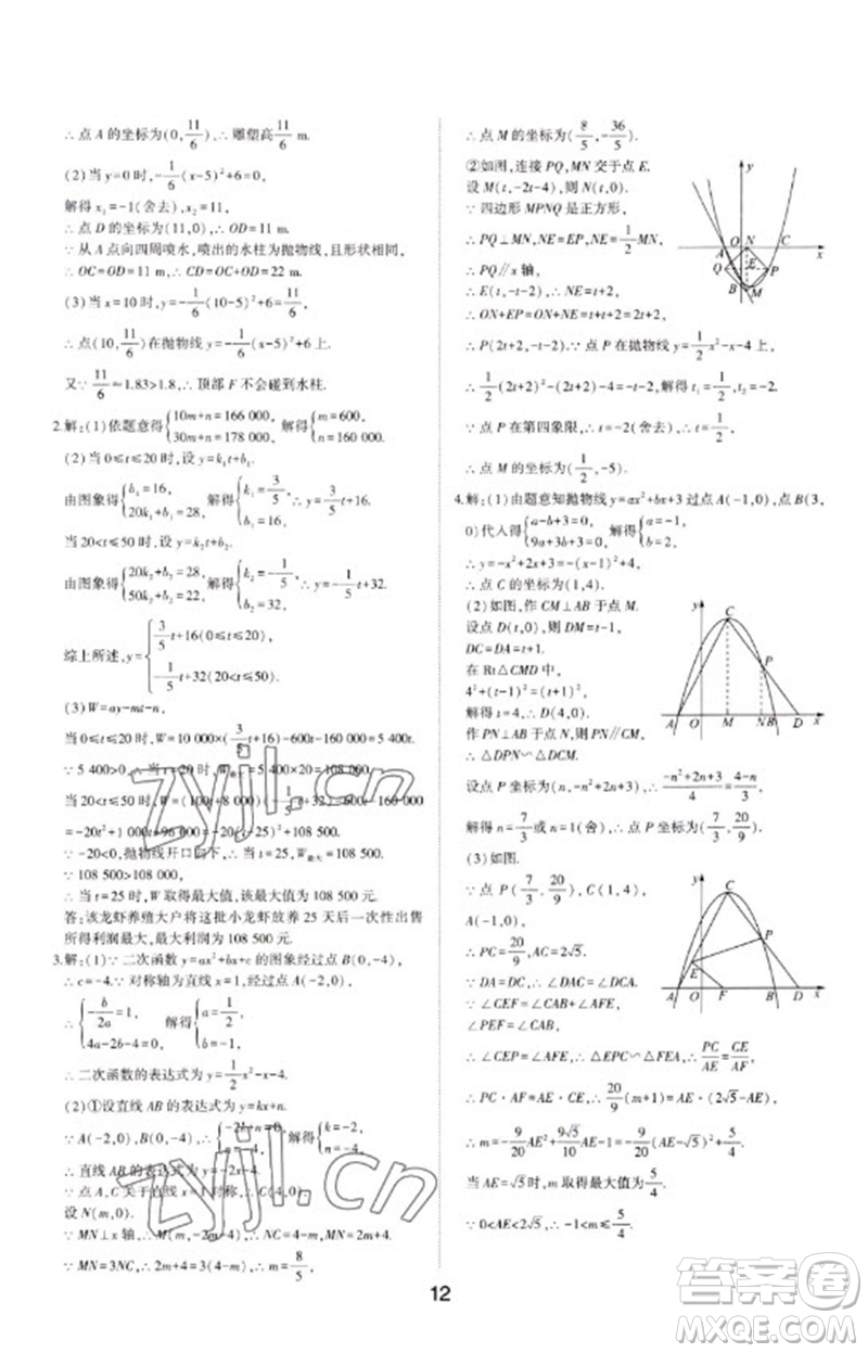 山東科學(xué)技術(shù)出版社2023初中總復(fù)習(xí)手冊(cè)九年級(jí)數(shù)學(xué)通用版參考答案