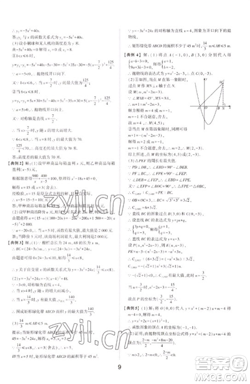 山東科學(xué)技術(shù)出版社2023初中總復(fù)習(xí)手冊(cè)九年級(jí)數(shù)學(xué)通用版參考答案