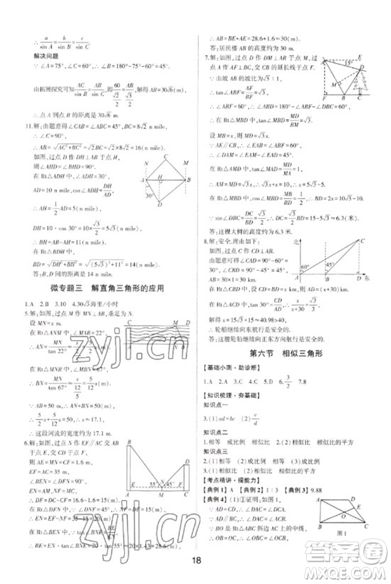 山東科學(xué)技術(shù)出版社2023初中總復(fù)習(xí)手冊(cè)九年級(jí)數(shù)學(xué)通用版參考答案