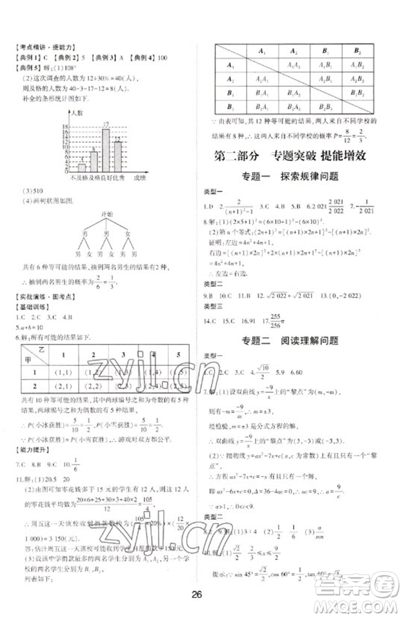 山東科學(xué)技術(shù)出版社2023初中總復(fù)習(xí)手冊(cè)九年級(jí)數(shù)學(xué)通用版參考答案