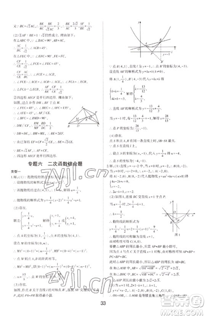 山東科學(xué)技術(shù)出版社2023初中總復(fù)習(xí)手冊(cè)九年級(jí)數(shù)學(xué)通用版參考答案