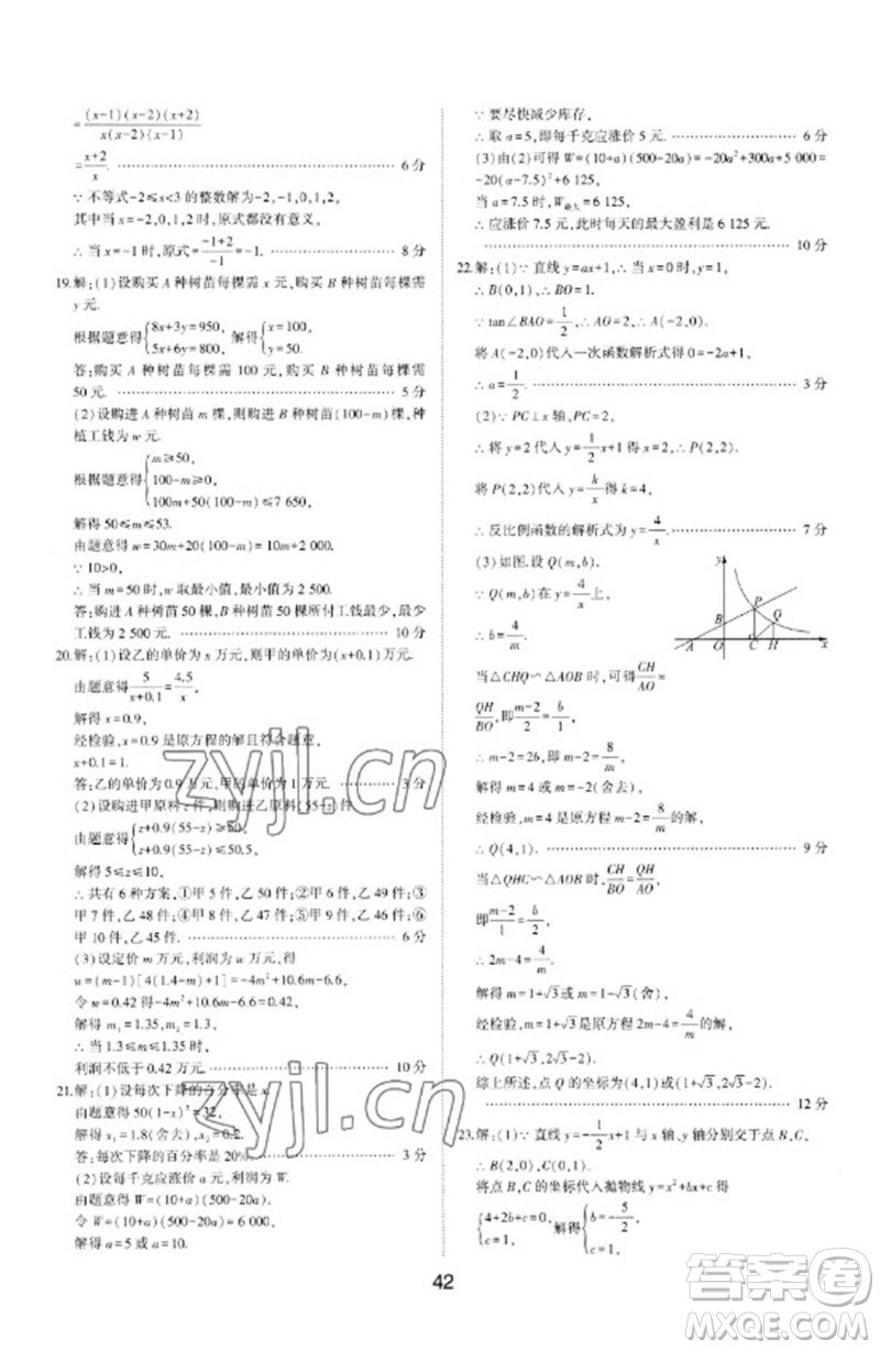 山東科學(xué)技術(shù)出版社2023初中總復(fù)習(xí)手冊(cè)九年級(jí)數(shù)學(xué)通用版參考答案