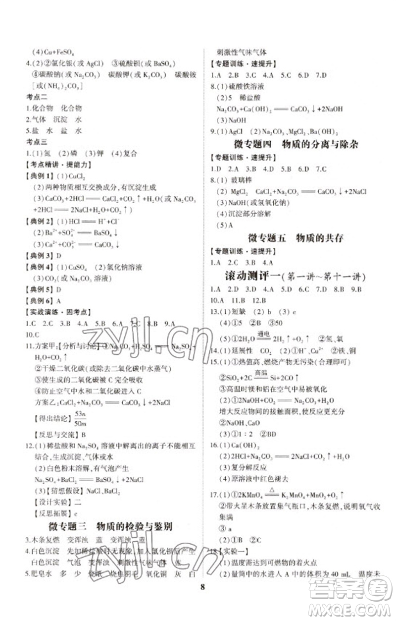 山東科學(xué)技術(shù)出版社2023初中總復(fù)習(xí)手冊(cè)九年級(jí)化學(xué)通用版參考答案