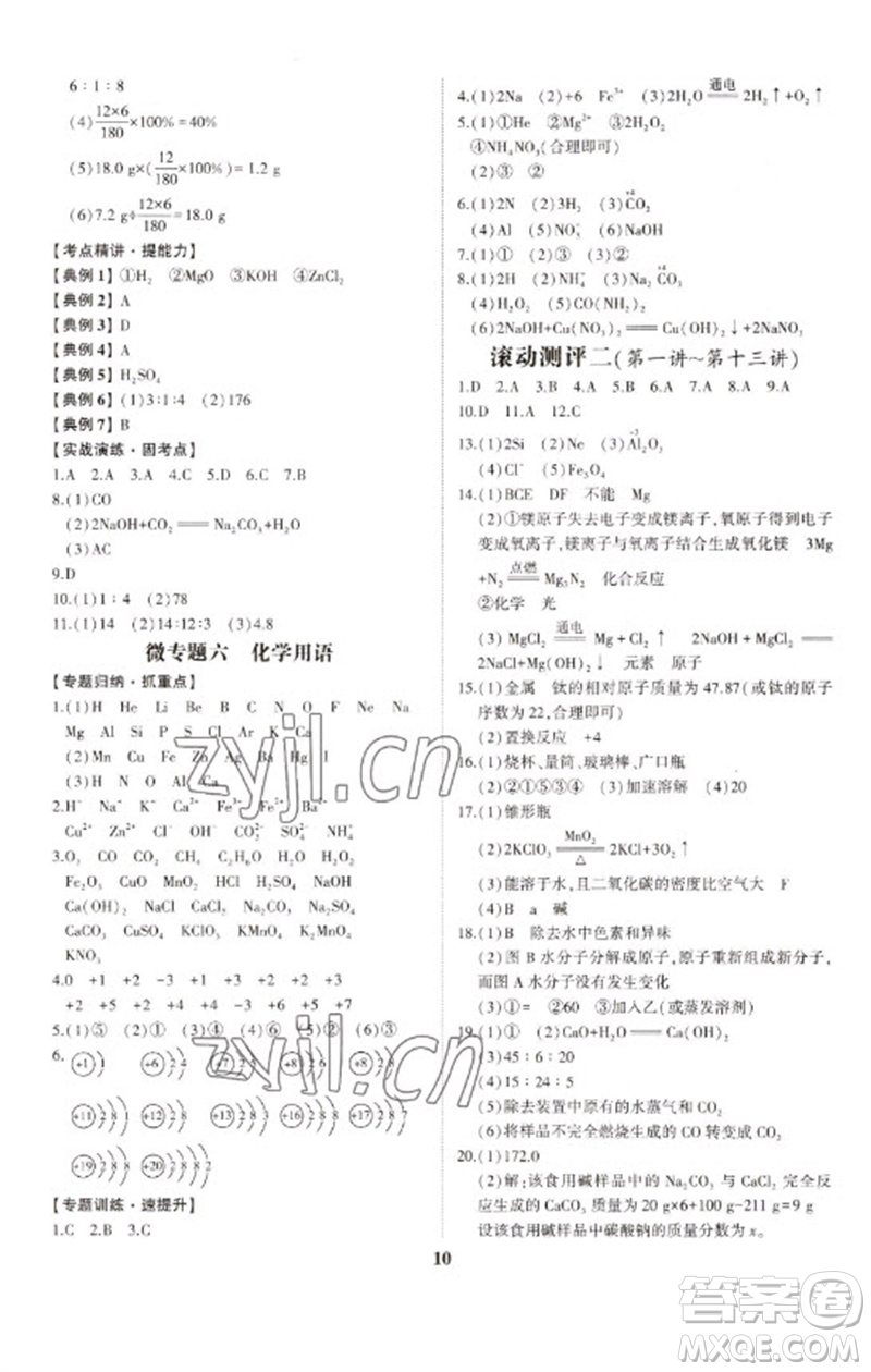 山東科學(xué)技術(shù)出版社2023初中總復(fù)習(xí)手冊(cè)九年級(jí)化學(xué)通用版參考答案