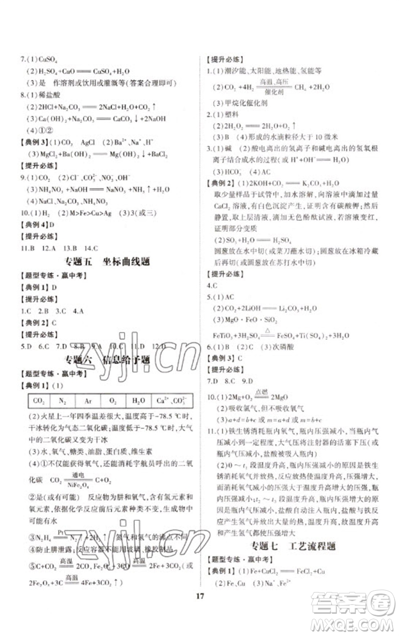 山東科學(xué)技術(shù)出版社2023初中總復(fù)習(xí)手冊(cè)九年級(jí)化學(xué)通用版參考答案