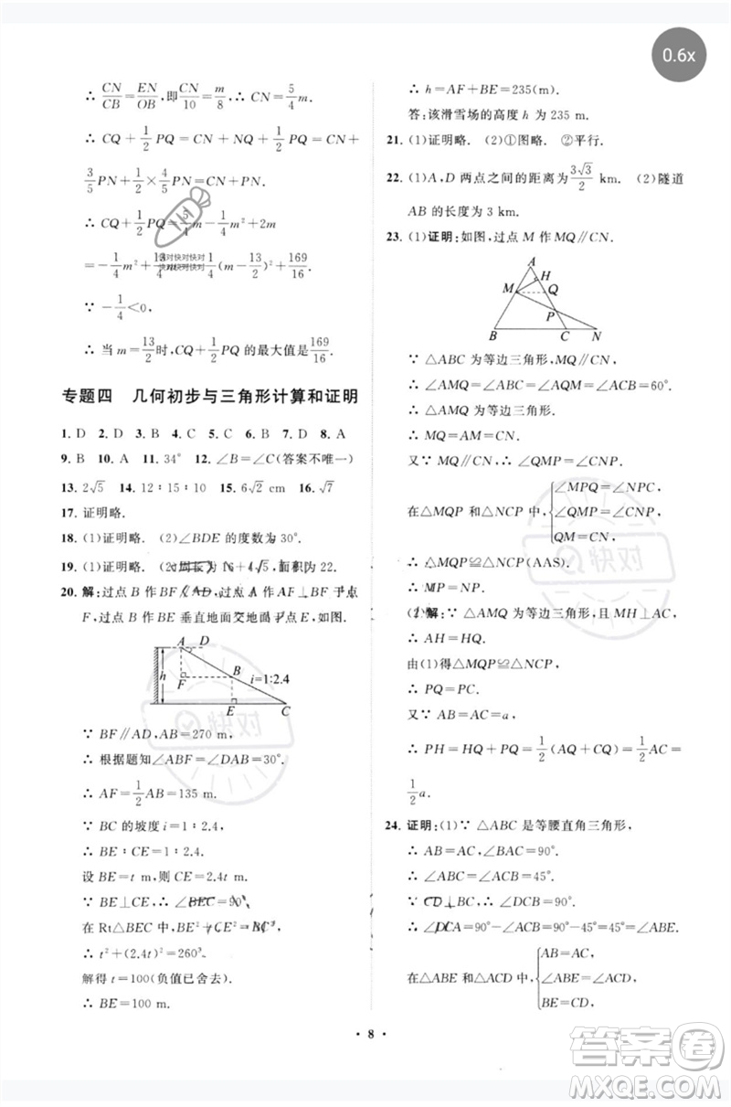 山東教育出版社2023初中總復(fù)習(xí)手冊(cè)分層專題卷九年級(jí)數(shù)學(xué)五四制通用版煙臺(tái)專版參考答案