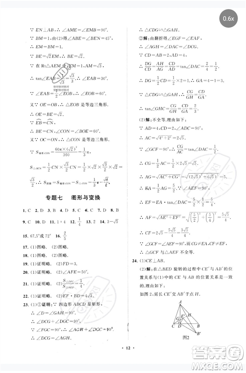 山東教育出版社2023初中總復(fù)習(xí)手冊(cè)分層專題卷九年級(jí)數(shù)學(xué)五四制通用版煙臺(tái)專版參考答案