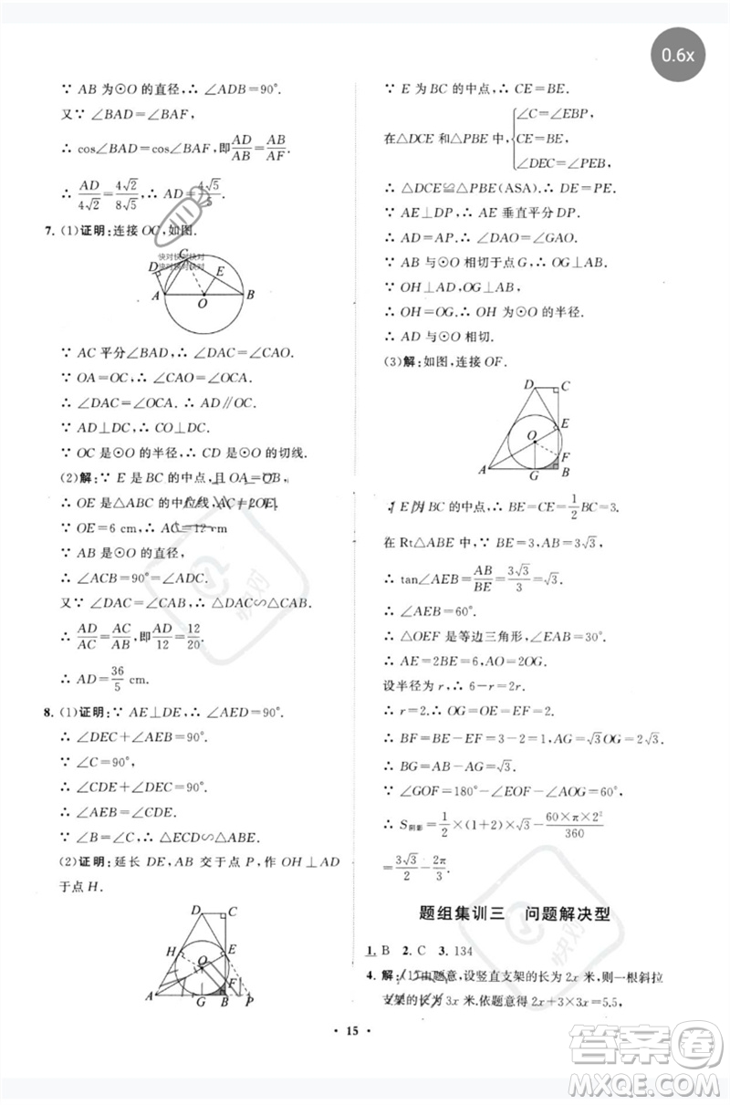 山東教育出版社2023初中總復(fù)習(xí)手冊(cè)分層專題卷九年級(jí)數(shù)學(xué)五四制通用版煙臺(tái)專版參考答案