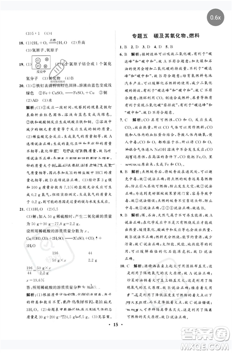 山東教育出版社2023初中總復習手冊分層專題卷九年級化學五四制通用版煙臺專版參考答案