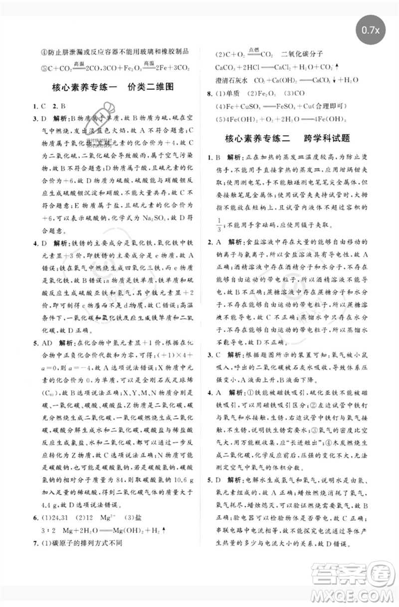 山東教育出版社2023初中總復習手冊分層專題卷九年級化學五四制通用版煙臺專版參考答案