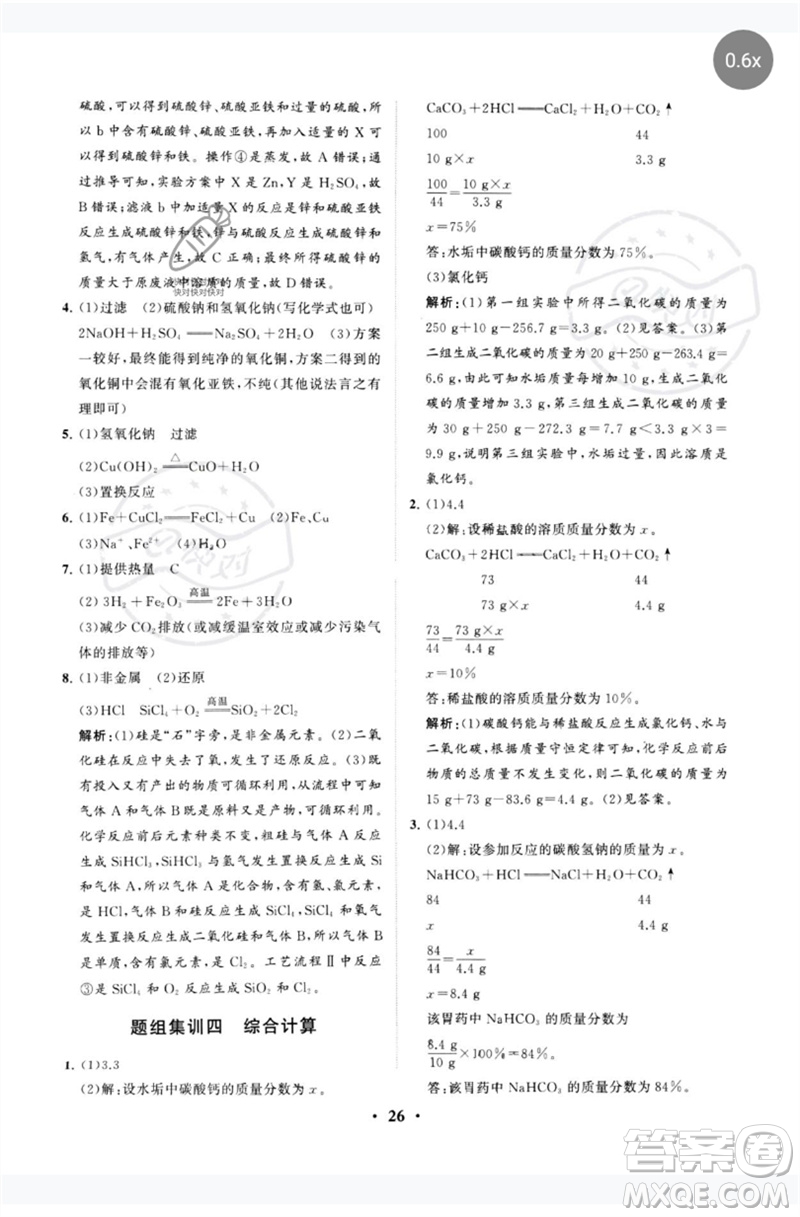 山東教育出版社2023初中總復習手冊分層專題卷九年級化學五四制通用版煙臺專版參考答案