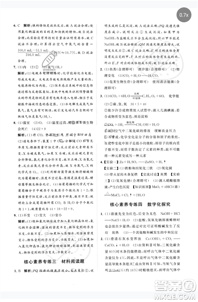 山東教育出版社2023初中總復習手冊分層專題卷九年級化學五四制通用版煙臺專版參考答案