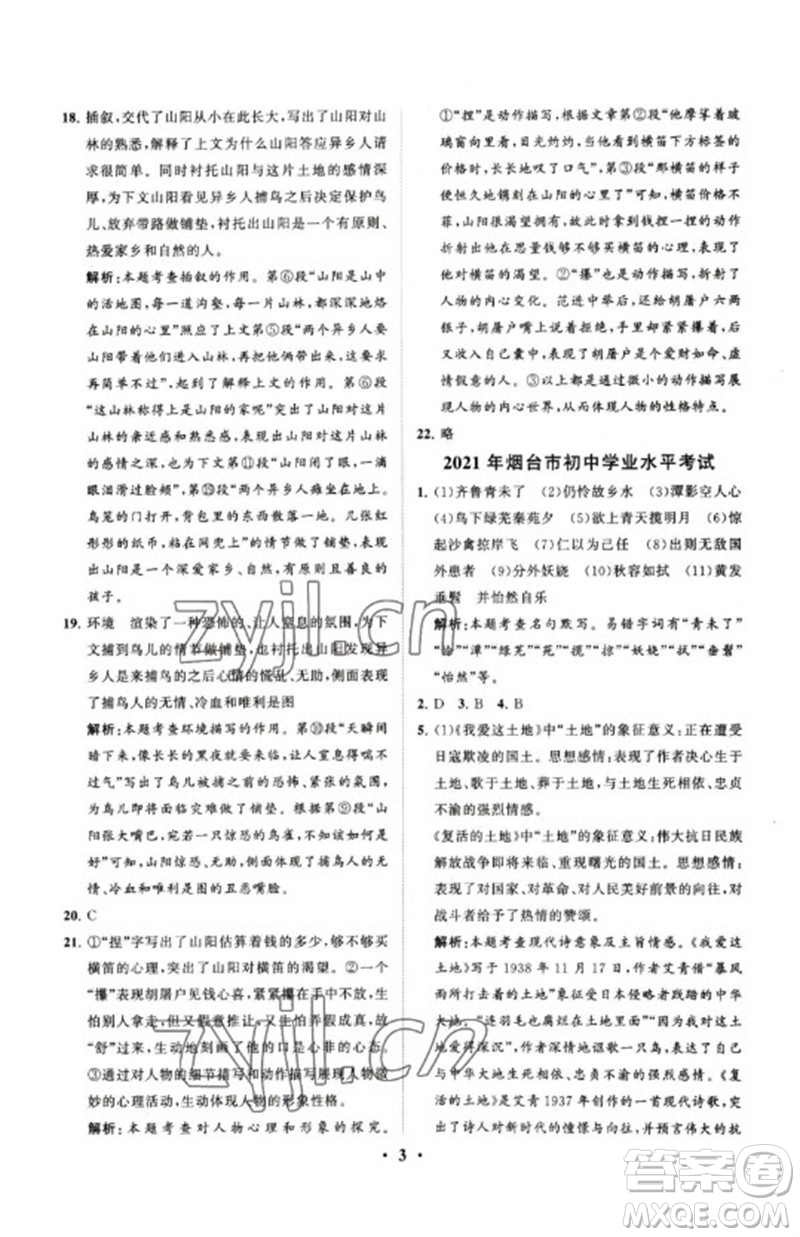 山東教育出版社2023初中總復習手冊分層專題卷九年級語文五四制通用版煙臺專版參考答案