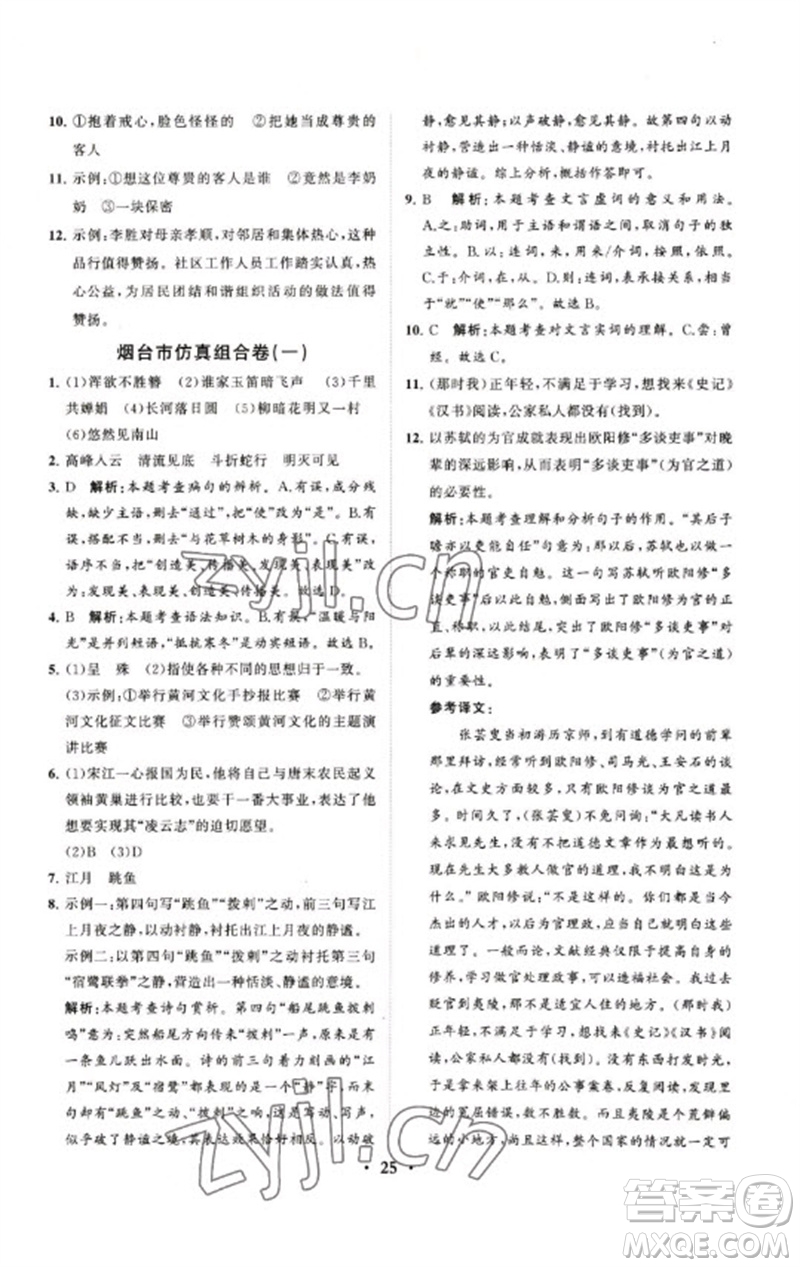 山東教育出版社2023初中總復習手冊分層專題卷九年級語文五四制通用版煙臺專版參考答案