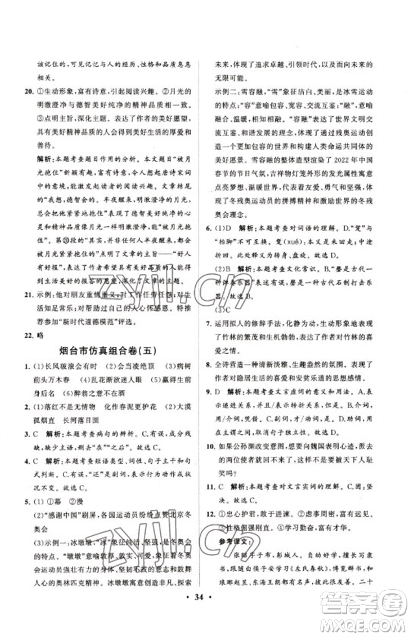 山東教育出版社2023初中總復習手冊分層專題卷九年級語文五四制通用版煙臺專版參考答案