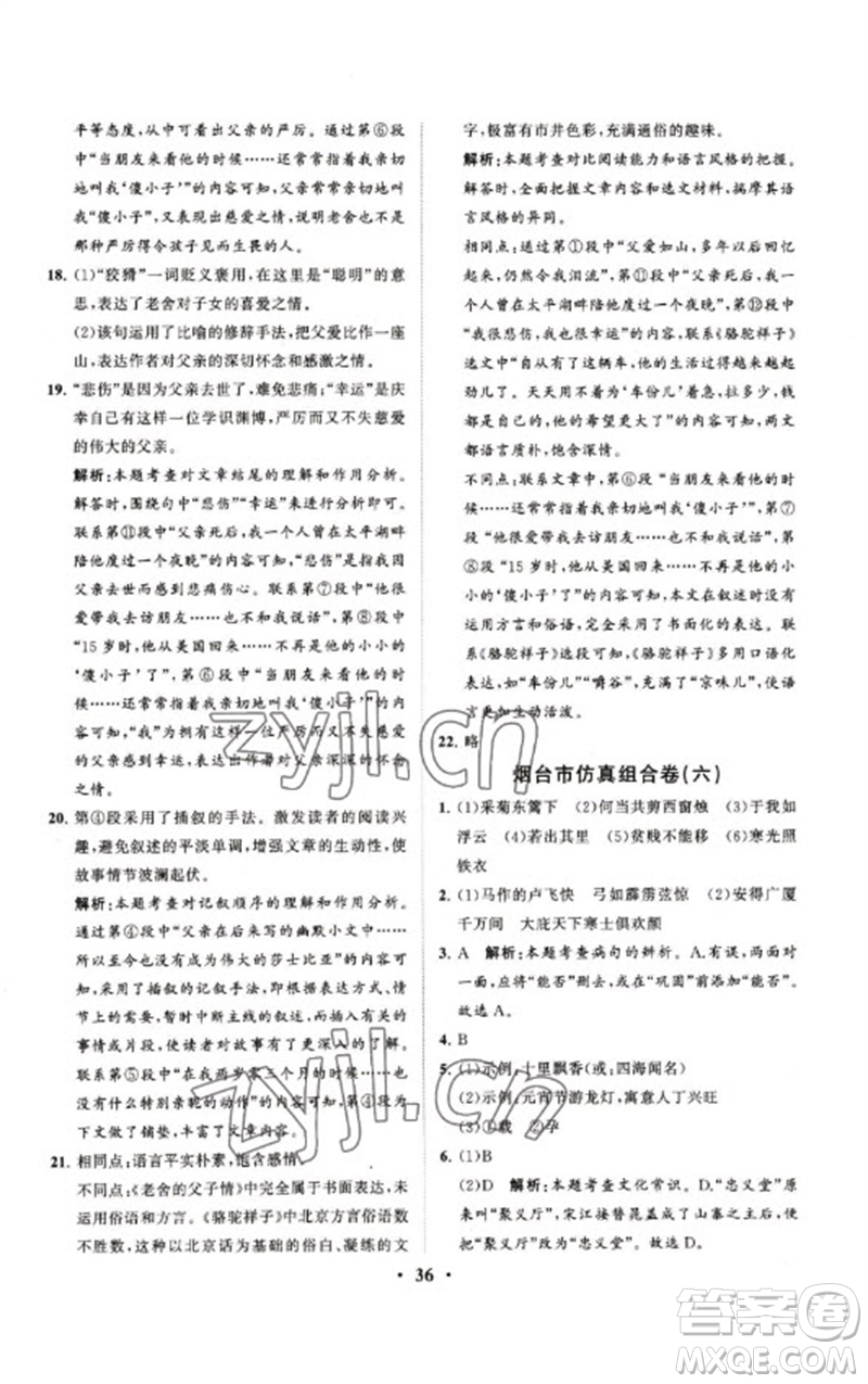 山東教育出版社2023初中總復習手冊分層專題卷九年級語文五四制通用版煙臺專版參考答案