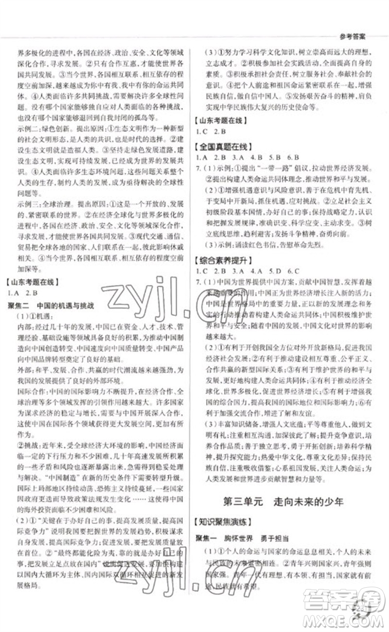 青島出版社2023初中總復(fù)習(xí)手冊九年級道德與法治通用版參考答案