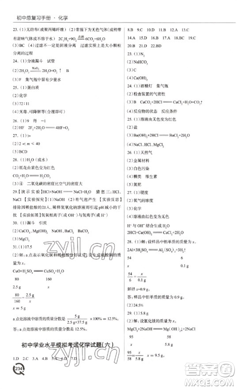 青島出版社2023初中總復(fù)習(xí)手冊九年級化學(xué)通用版參考答案