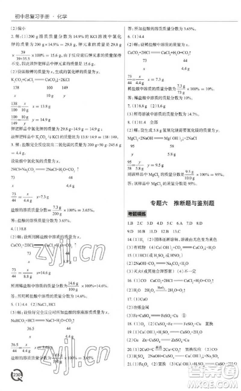 青島出版社2023初中總復(fù)習(xí)手冊九年級化學(xué)通用版參考答案