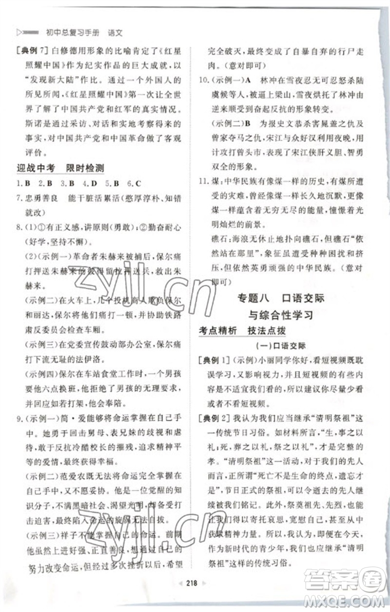 新世紀(jì)出版社2023初中總復(fù)習(xí)手冊九年級語文通用版參考答案