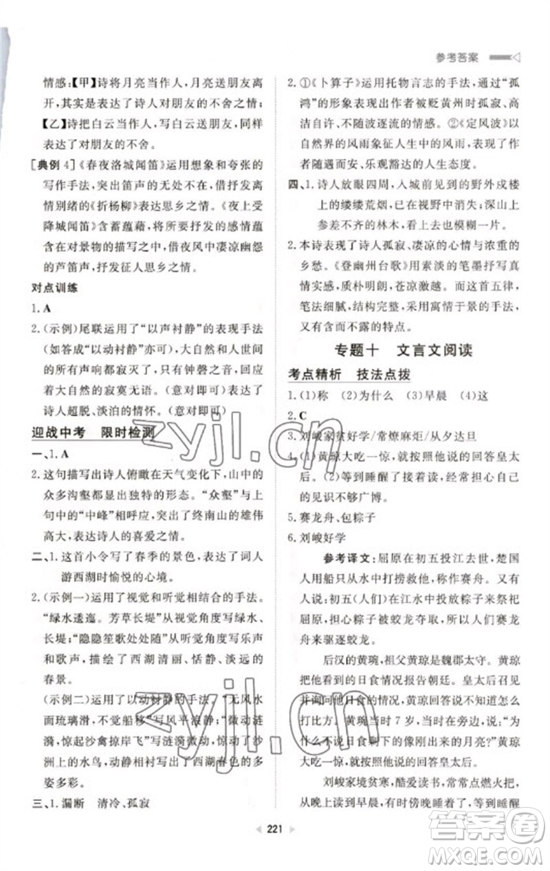 新世紀(jì)出版社2023初中總復(fù)習(xí)手冊九年級語文通用版參考答案