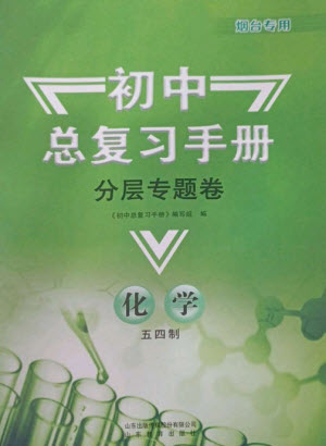 山東教育出版社2023初中總復習手冊分層專題卷九年級化學五四制通用版煙臺專版參考答案