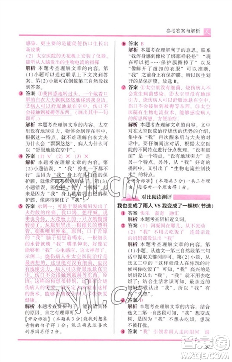 湖南師范大學(xué)出版社2023木頭馬閱讀力測評三年級(jí)語文人教版B版參考答案