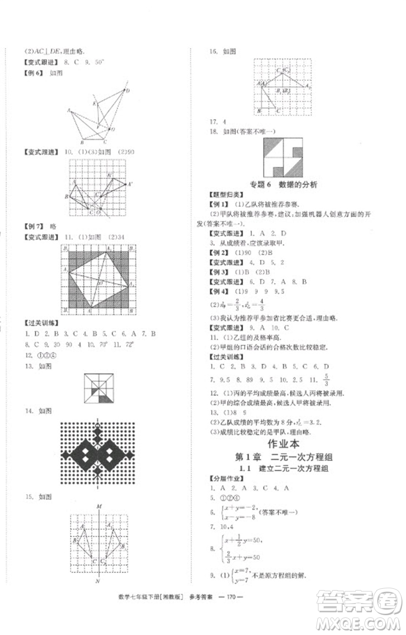 湖南教育出版社2023全效學(xué)習(xí)同步學(xué)練測(cè)七年級(jí)數(shù)學(xué)下冊(cè)湘教版參考答案