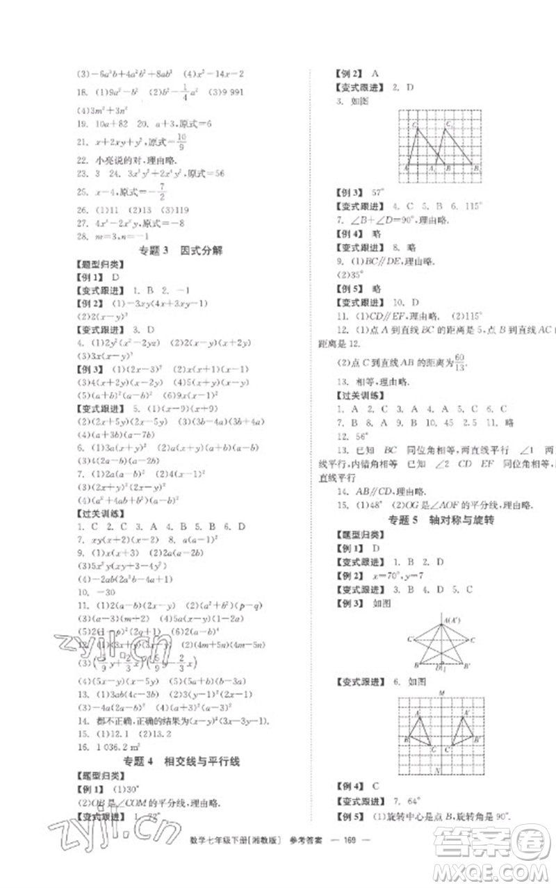 湖南教育出版社2023全效學(xué)習(xí)同步學(xué)練測(cè)七年級(jí)數(shù)學(xué)下冊(cè)湘教版參考答案