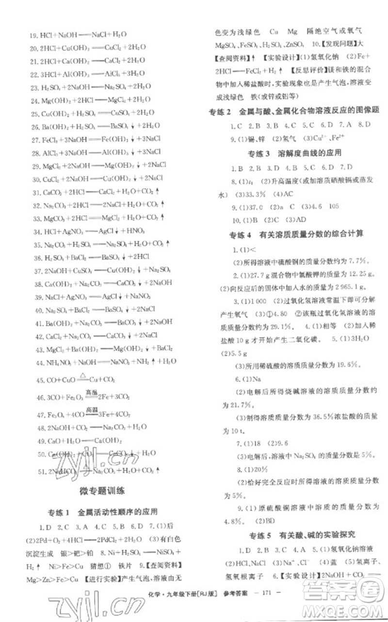 湖南教育出版社2023全效學(xué)習(xí)同步學(xué)練測九年級化學(xué)下冊人教版參考答案