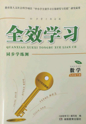 湖南教育出版社2023全效學習同步學練測九年級數(shù)學下冊北師大版參考答案