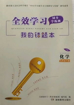 湖南教育出版社2023全效學(xué)習(xí)同步學(xué)練測九年級化學(xué)下冊人教版參考答案