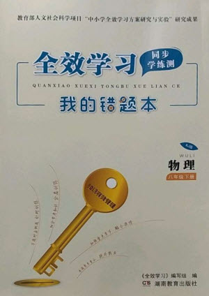 湖南教育出版社2023全效學(xué)習(xí)同步學(xué)練測八年級物理下冊人教版參考答案