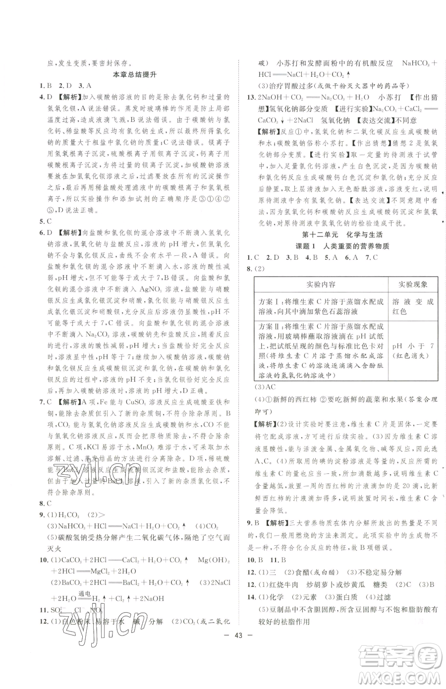 合肥工業(yè)大學出版社2023全頻道課時作業(yè)九年級下冊化學人教版參考答案