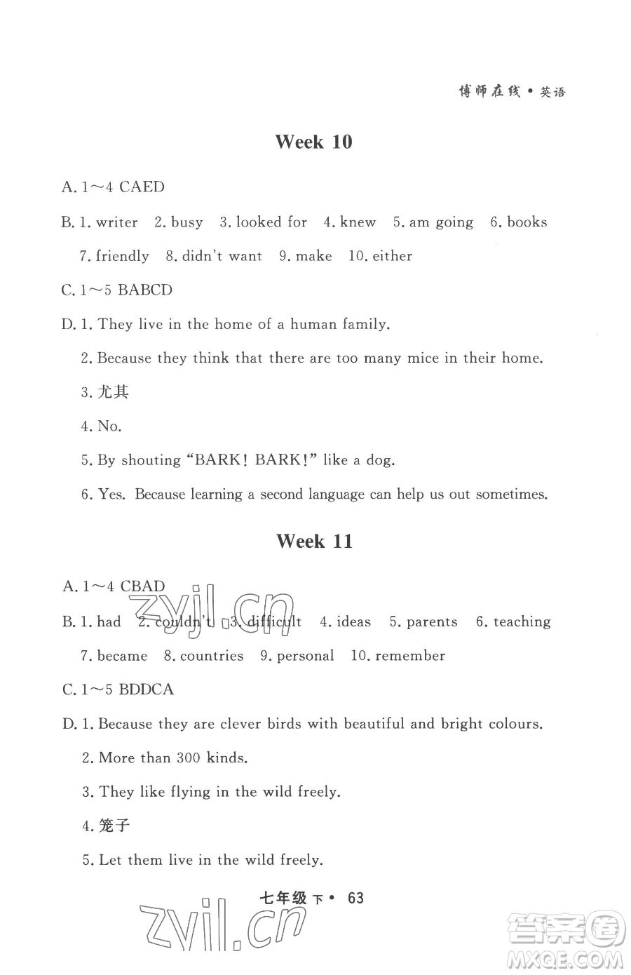 沈陽(yáng)出版社2023博師在線七年級(jí)下冊(cè)英語(yǔ)外研版大連專(zhuān)版參考答案