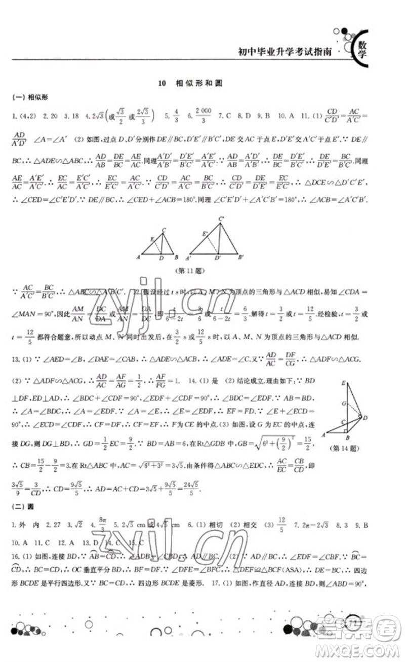 江蘇鳳凰科學技術出版社2023初中畢業(yè)升學考試指南九年級數(shù)學通用版參考答案