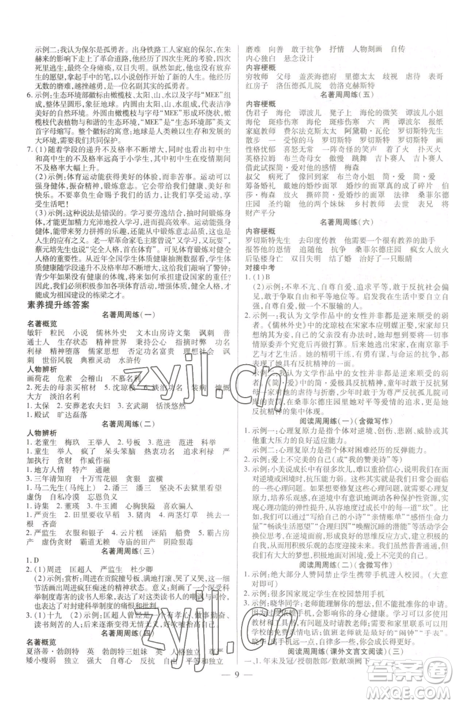 延邊教育出版社2023暢行課堂九年級下冊語文人教版參考答案