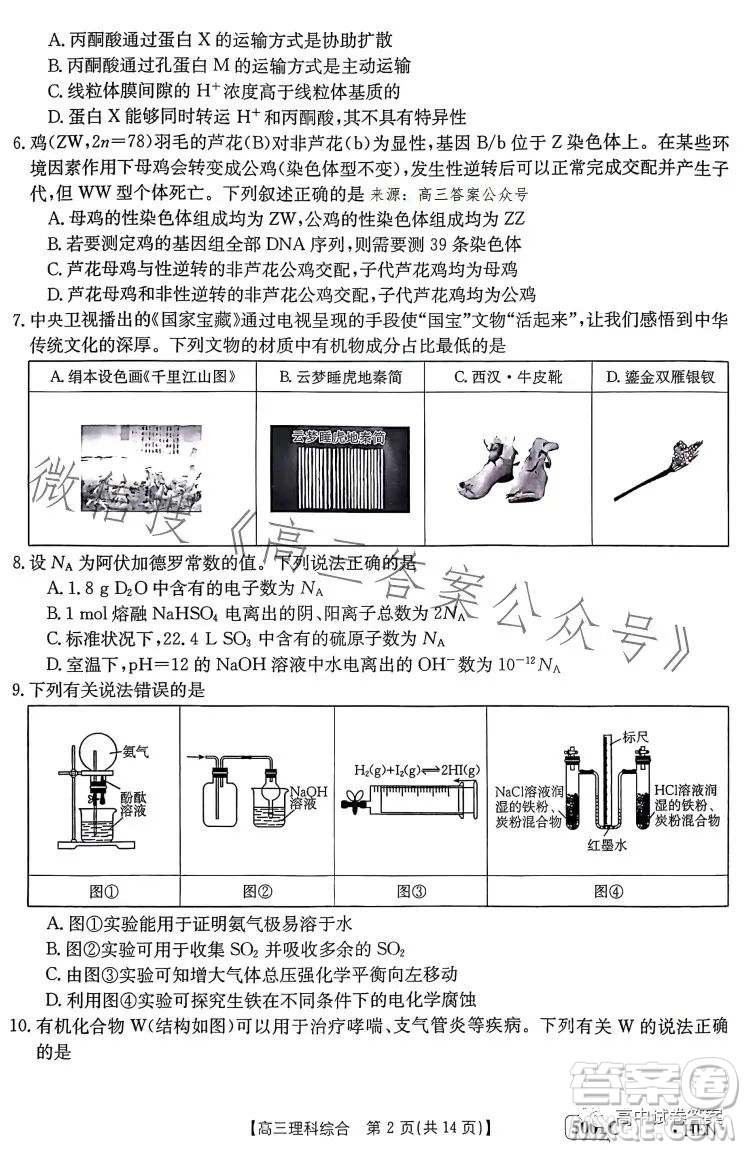 2023金太陽(yáng)聯(lián)考5001CHEN高三理科綜合試卷答案